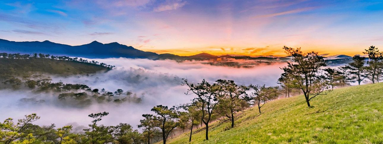 Guida turistica di Da Lat (Vietnam): cosa vedere, meteo e consigli di viaggio
